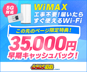 GMOとくとくBB WiMAXの特設サイト用バナー画像