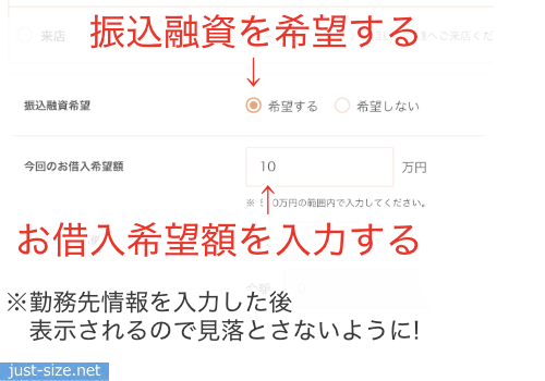 プロミスの審査に通りたければ借入希望額は10万円以下にする